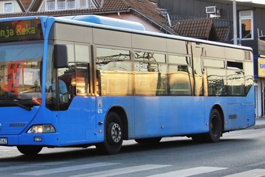 Bus 132 goli breg